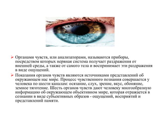  Органами чувств, или анализаторами, называются приборы,
посредством которых нервная система получает раздражения от
внешней среды, а также от самого тела и воспринимает эти раздражения
в виде ощущений.
 Показания органов чувств являются источниками представлений об
окружающем нас мире. Процесс чувственного познания совершается у
человека по шести каналам: осязание, слух, зрение, вкус, обоняние,
земное тяготение. Шесть органов чувств дают человеку многообразную
информацию об окружающем объективном мире, которая отражается в
сознании в виде субъективных образов - ощущений, восприятий и
представлений памяти.
 