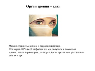 Орган зрения – глаз
Можно сравнить с окном в окружающий мир.
Примерно 70 % всей информации мы получаем с помощью
зрения, например о форме, размерах, цвете предметов, расстоянии
до них и др.
 