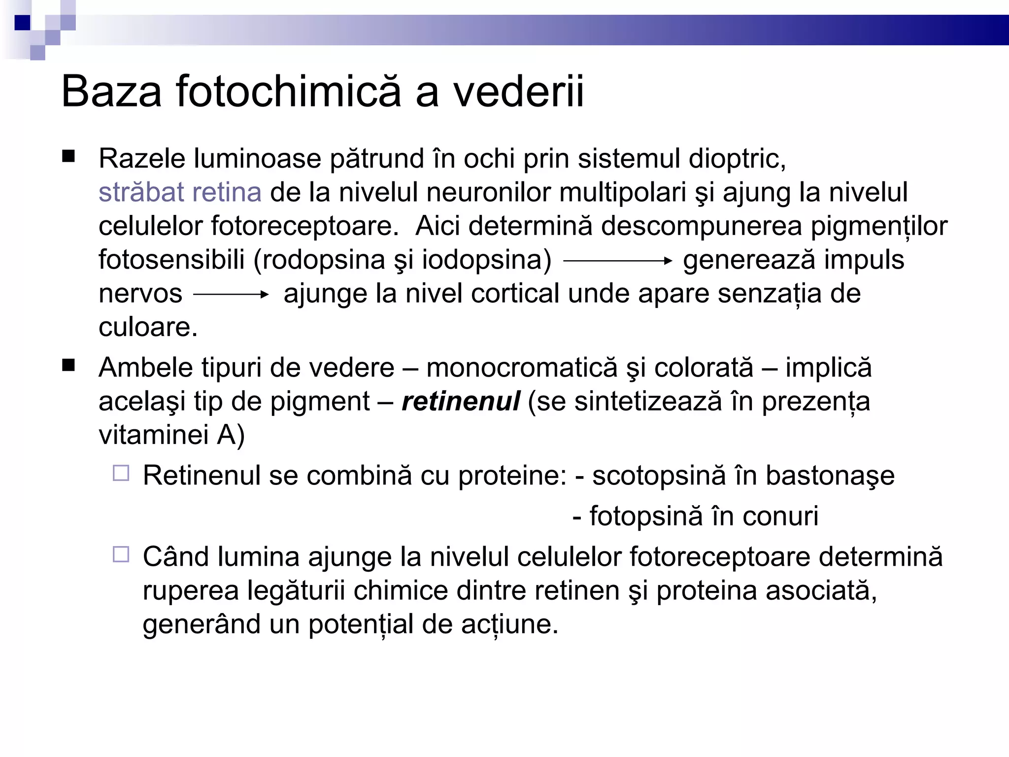 Analizatorul vizual PPT