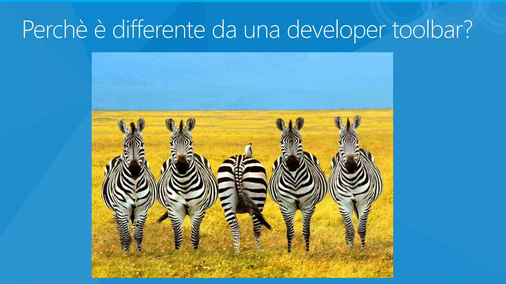 Perchè è differente da una developer toolbar?