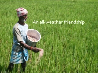 An all-weather friendship
 