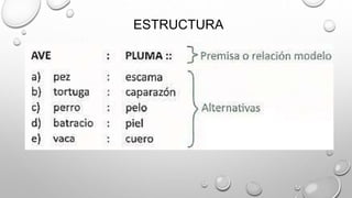 ESTRUCTURA
 
