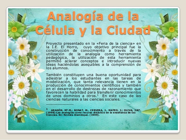 Analogía De La Célula Y La Ciudad