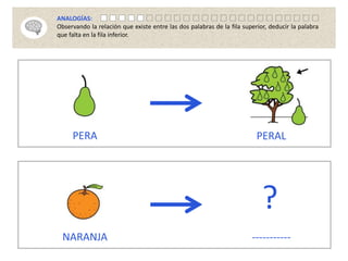 PERA PERAL
NARANJA -----------
?
ANALOGÍAS:
Observando la relación que existe entre las dos palabras de la fila superior, deducir la palabra
que falta en la fila inferior.
 