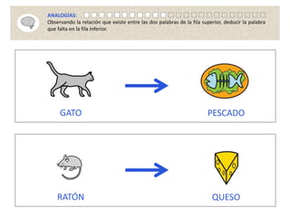 GATO PESCADO
RATÓN QUESO
ANALOGÍAS:
Observando la relación que existe entre las dos palabras de la fila superior, deducir la palabra
que falta en la fila inferior.
 