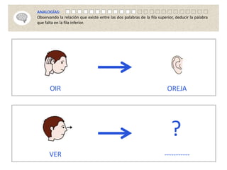 OIR OREJA
VER -----------
?
ANALOGÍAS:
Observando la relación que existe entre las dos palabras de la fila superior, deducir la palabra
que falta en la fila inferior.
 