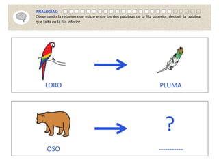 LORO PLUMA
OSO -----------
?
ANALOGÍAS:
Observando la relación que existe entre las dos palabras de la fila superior, deducir la palabra
que falta en la fila inferior.
 
