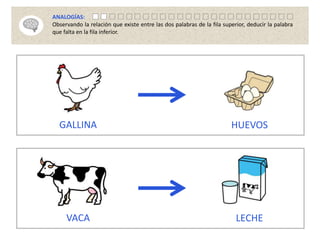 GALLINA HUEVOS
VACA LECHE
ANALOGÍAS:
Observando la relación que existe entre las dos palabras de la fila superior, deducir la palabra
que falta en la fila inferior.
 