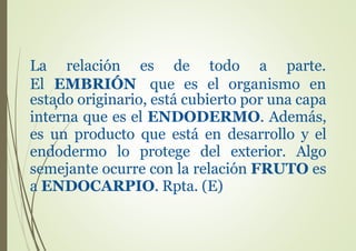 estado originario, está cubierto por una capa
interna que es el ENDODERMO. Además,
es un producto que está en desarrollo y el
endodermo lo protege del exterior. Algo
semejante ocurre con la relación FRUTO es
a ENDOCARPIO. Rpta. (E)
La relación es de todo a parte.
El EMBRIÓN
,
que es el organismo en
 