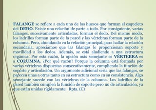 FALANGE se refiere a cada uno de los huesos que forman el esqueleto
del DEDO. Existe una relación de parte a todo. Por consiguiente, varias
falanges, sucesivamente articuladas, forman el dedo. Del mismo modo,
los ladrillos forman parte de la pared y las vértebras forman parte de la
columna. Pero, ahondando en la relación principal, para hallar la relación
secundaria, apreciamos que las falanges le proporcionan soporte y
movilidad a los dedos. Además, se está aludiendo a una estructura
orgánica. Por esta razón, la opción más semejante es VÉRTEBRA es
a COLUMNA. ¿Por qué razón? Porque la columna está formada por
varias vértebras dispuestas consecutivamente, cumpliendo la función de
soporte y articulación. Un argumento adicional sería que las falanges, se
parecen unas a otras tanto en su estructura como en su consistencia. Algo
semejante sucede con las vértebras de la columna. Los ladrillos de la
pared también cumplen la función de soporte pero no de articulación, ya
que están unidas rígidamente. Rpta. (C)
 