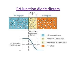 Comprehensive Guide to PN Junction Diodes and Special Semiconductor ...