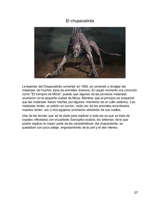 27
El chupacabrás
La leyenda del Chupacabrás comenzó en 1992, se comenzó a divulgar las
matanzas de muchos tipos de animales diversos. En aquel momento era conocido
como "El Vampiro de Moca", puesto que algunas de las primeras matanzas
ocurrieron en la pequeña ciudad de Moca. Mientras que al principio se sospechó
que las matanzas fueron hechas por algunos miembros de un culto satánico. Las
matanzas tenían un patrón en común: cada uno de los animales encontrados
muertos tenían uno o dos agujeros pinchados alrededor de sus cuellos.
Una de las teorías que se ha dado para explicar a este ser es que se trata de
coyotes infectados con el parásito Sarcoptos scabiei, los síntomas de lo que
podría explicar la mayor parte de las características del chupacabrás: se
quedaban con poco pelaje, engrosamiento de la piel y el olor intenso.
 