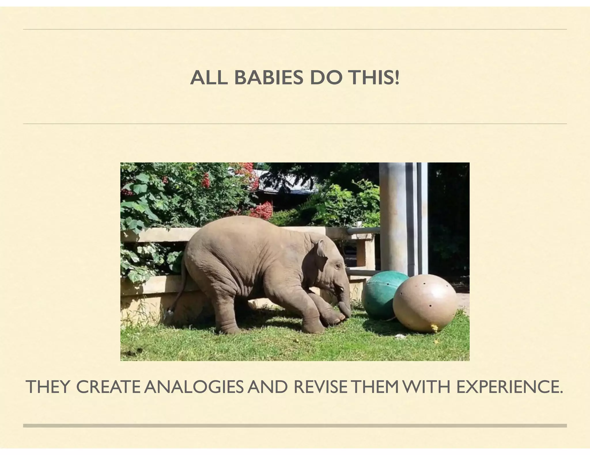 ALL BABIES DO THIS!
THEY CREATE ANALOGIES AND REVISE THEM WITH EXPERIENCE.
 