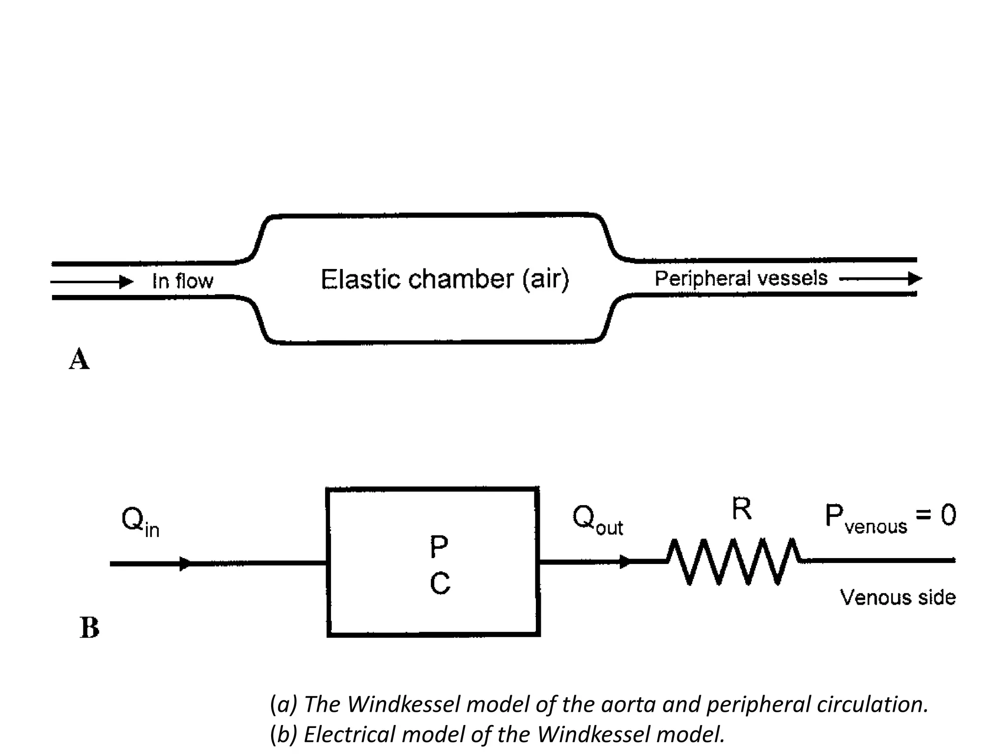 (a) The Windkessel model of the aorta and peripheral circulation.
(b) Electrical model of the Windkessel model.
 
