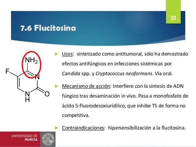 5 Fluorocitosina Mecanismo De Accion