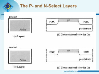 The P- and N-Select Layers 