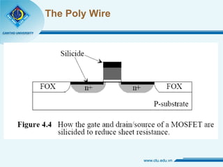 The Poly Wire 