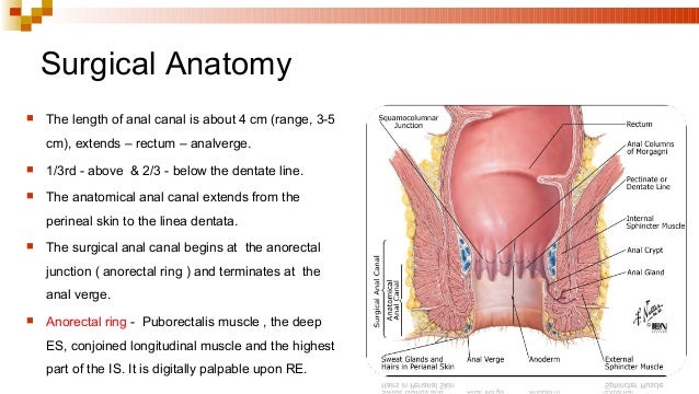 Abscess: Causes, Symptoms, Tests, and Treatment