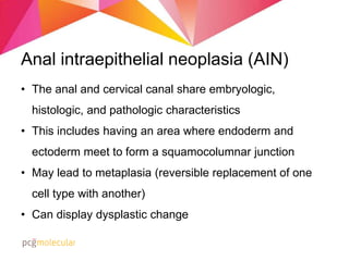 Anal presentation | PPTX