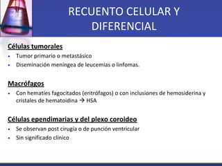 RECUENTO CELULAR Y
                            DIFERENCIAL
Células tumorales
•   Tumor primario o metastásico
•   Disemina...