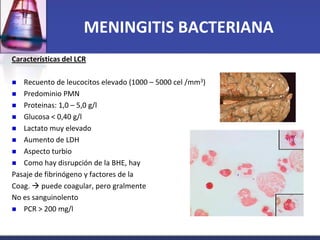 MENINGITIS BACTERIANA
Características del LCR

  Recuento de leucocitos elevado (1000 – 5000 cel /mm3)
 Predominio PMN
...