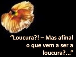 “Loucura?! – Mas afinal o que vem a ser a loucura?...”