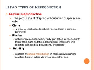TWO TYPES OF REPRODUCTION
 Asexual Reproduction
 the production of offspring without union of special sex
cells
 Clone
 a group of identical cells naturally derived from a common
parent cell
 Fission
 is the subdivision of a cell (or body, population, or species) into
two or more parts and the regeneration of those parts into
separate cells (bodies, populations, or species)
 Budding
 is a form of asexual reproduction in which a new organism
develops from an outgrowth or bud on another one.
 