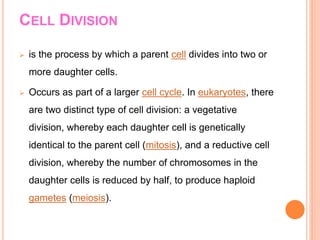 CELL DIVISION
 is the process by which a parent cell divides into two or
more daughter cells.
 Occurs as part of a larger cell cycle. In eukaryotes, there
are two distinct type of cell division: a vegetative
division, whereby each daughter cell is genetically
identical to the parent cell (mitosis), and a reductive cell
division, whereby the number of chromosomes in the
daughter cells is reduced by half, to produce haploid
gametes (meiosis).
 
