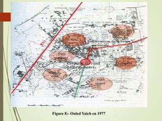 Figure 8:- Ouled Yaich en 1977
 