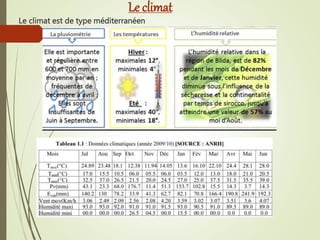 Le climat
Le climat est de type méditerranéen
 