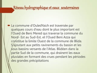 Réseau hydrographique et eaux souterraines
 La commune d'OuledYaich est traversée par
quelques cours d'eau dont le plus important est
l'Oued de Beni Mered qui traverse la commune du
Nord- Est au Sud-Est, et l'Oued Beni Azza qui
constitue la limite Ouest de la commune de Blida.
S'ajoutant aux petits ravinements du bassin et les
sous bassins versants de l'Atlas. Blidéen dans la
partie Sud de la commune, qui drainent les eaux
pluviales en formant des crues pendant les périodes
des grandes précipitations
 