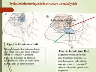 Evolution hiérarchique de la structure de ouledyaich
Figure 5:- Période avant 1843
La première installation était
dans les jardins spontanés ce
sont des maisons individuelles
avec des cours on remarque I'
existence des voies piéton dans
les jardins
Figure 6: Période après 1843
L’installation des français sous forme
d'un block house (un camp militaire
contre les attaques Algériens)
Le noyau historique de dalmatie
(coloniale )+le douar de oueld yaich
La ville était un camp militaire
 