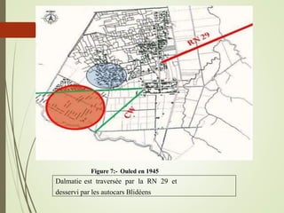 Figure 7:- Ouled en 1945
Dalmatie est traversée par la RN 29 et
desservi par les autocars Blidéens
 