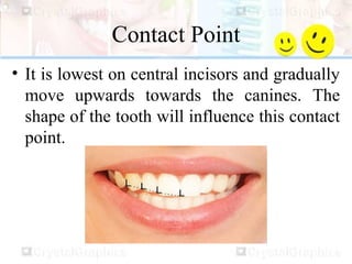 Contact Point
• It is lowest on central incisors and gradually
move upwards towards the canines. The
shape of the tooth will influence this contact
point.
 
