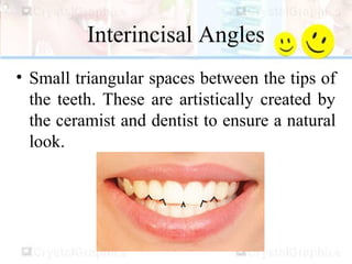 Interincisal Angles
• Small triangular spaces between the tips of
the teeth. These are artistically created by
the ceramist and dentist to ensure a natural
look.
 