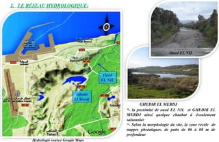 2. LE RÉSEAU HYDROLOGIQUE:
*- la proximité de oued EL NIL et GHEDIR EL
MERDJ ainsi quelque chaabat à écoulement
saisonnier
*- Selon la morphologie du site, la zone recèle de
nappes phréatiques, de puits de 06 à 08 m de
profondeur
GHEDIR EL MERDJ
Oued EL NIL
Oued
EL NIL
Ghedir
El Merdj
Hydrologie source Google Maps
 