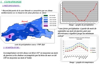 3. CLIMATOLOGIE
1-PRÉCIPITATIONS :
*-Bazoul fait partie de la zone littorale se caractérise par un climat
méditerranéen sec et chaud en été ,doux pluvieux en hiver
carte de précipitation source PAW Jijel
*-une fortes précipitation à partir du mois de
septembre au mois de janvier, puis une
décroissance régulière jusqu’au minimum
estivale.
Bazoul
Image : graphe de précipitation
2- TEMPÉRATURE :
Image : graphe de température
La température est très douce en hiver (11° en moyenne au mois
de janvier) et la chaleur est tempérée par la brise de mer en été
(26°en moyenne au mois d’Août)
 