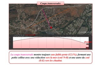 La coupe transversale montre toujours une faible pente (12.1%); formant une
petite colline avec une réduction vers la mer (coté N-O) et une autre du coté
(S-E) vers les chaabat.
Coupe transversale:
chaabat
 