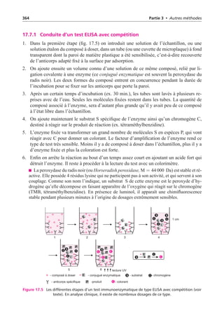 364 Partie 3 • Autres méthodes
17.7.1 Conduite d’un test ELISA avec compétition
1. Dans la première étape (fig. 17.5) on introduit une solution de l’échantillon, ou une
solution étalon du composé à doser, dans un tube (ou une cuvette de microplaque) à fond
transparent dont la paroi de matière plastique a été sensibilisée, c’est-à-dire recouverte
de l’anticorps adapté fixé à la surface par adsorption.
2. On ajoute ensuite un volume connu d’une solution de ce même composé, relié par li-
gation covalente à une enzyme (ce conjugué enzymatique est souvent la peroxydase du
radis noir). Les deux formes du composé entrent en concurrence pendant la durée de
l’incubation pour se fixer sur les anticorps que porte la paroi.
3. Après un certain temps d’incubation (ex. 30 min.), les tubes sont lavés à plusieurs re-
prises avec de l’eau. Seules les molécules fixées restent dans les tubes. La quantité de
composé associé à l’enzyme, sera d’autant plus grande qu’il y avait peu de ce composé
à l’état libre dans l’échantillon.
4. On ajoute maintenant le substrat S spécifique de l’enzyme ainsi qu’un chromogène C,
destiné à réagir sur le produit de réaction (ex. tétraméthylbenzidine).
5. L’enzyme fixée va transformer un grand nombre de molécules S en espèces P, qui vont
réagir avec C pour donner un colorant. Le facteur d’amplification de l’enzyme rend ce
type de test très sensible. Moins il y a de composé à doser dans l’échantillon, plus il y a
d’enzyme fixée et plus la coloration est forte.
6. Enfin on arrête la réaction au bout d’un temps assez court en ajoutant un acide fort qui
détruit l’enzyme. Il reste à procéder à la lecture du test avec un colorimètre.
La peroxydase du radis noir (ou Horseradish peroxidase, M = 44 000 Da) est stable et ré-
active. Elle possède 4 résidus lysine qui ne participent pas à son activité, et qui servent à son
couplage. Comme son nom l’indique, un substrat S de cette enzyme est le peroxyde d’hy-
drogène qu’elle décompose en faisant apparaître de l’oxygène qui réagit sur le chromogène
(TMB, tétraméthylbenzidine). En présence de luminol, il apparaît une chimifluorescence
stable pendant plusieurs minutes à l’origine de dosages extrêmement sensibles.
S
C
- composé à doser - conjugué enzymatique - substrat - chromogène
- anticorps spécifique -produit - colorant
1 4
5
2 3
E
E E
E E
E
E
E
E E
E E
E E E
E E
S S
S S
S
S
S
C
C
C
C
C
C
C
C
C
C
C
C
C
1 cm
6
P
P
P P
P P
P P
P P
lecture UV
Figure 17.5 Les différentes étapes d’un test immunoenzymatique de type ELISA avec compétition (voir
texte). En analyse clinique, il existe de nombreux dosages de ce type.
 