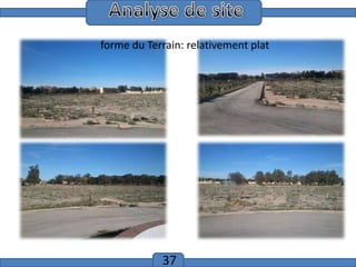 Introduction
forme du Terrain: relativement plat

37

 