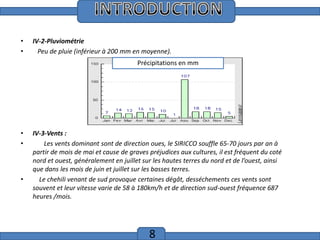 Introduction
•
•

IV-2-Pluviométrie
Peu de pluie (inférieur à 200 mm en moyenne).
Précipitations en mm

•
•

•

IV-3-Vents :
Les vents dominant sont de direction oues, le SIRICCO souffle 65-70 jours par an à
partir de mois de mai et cause de graves préjudices aux cultures, il est fréquent du coté
nord et ouest, généralement en juillet sur les hautes terres du nord et de l’ouest, ainsi
que dans les mois de juin et juillet sur les basses terres.
Le chehili venant de sud provoque certaines dégât, desséchements ces vents sont
souvent et leur vitesse varie de 58 à 180km/h et de direction sud-ouest fréquence 687
heures /mois.

8

 