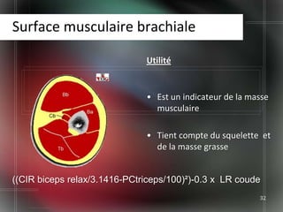 Surface musculaire brachiale

                              Utilité


                              • Est un indicateur de la masse
                                musculaire

                              • Tient compte du squelette et
                                de la masse grasse


((CIR biceps relax/3.1416-PCtriceps/100)²)-0.3 x LR coude
                                                          32
 