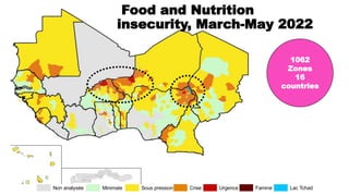 Food and Nutrition insecurity,
June-August 2022
1141
Zones
17
Countries
Non analysée Minimale Sous pression Crise Urgence ...
