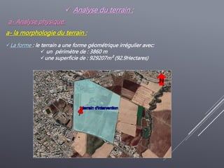  Analyse du terrain :
a- Analyse physique:
a- la morphologie du terrain :
La forme : le terrain a une forme géométrique irrégulier avec:
 un périmètre de : 3860 m
une superficie de : 929207m² (92.9Hectares)
N
 