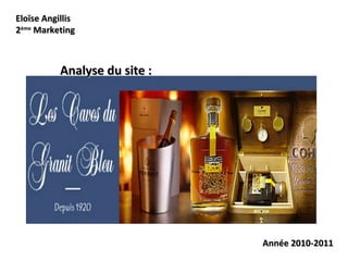 Eloïse Angillis 2 ème  Marketing Analyse du site : Année 2010-2011 