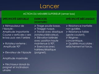 Lancer
ACTION DU MEMBRE SUPERIEUR (armer bas)
SPÉCIFICITÉ GESTUELLE EXERCICES
(exemple)
SPÉCIFICITÉ MÉCANIQUE
Ø Rétropulseur de
l’épaule :
Amplitude importante
Course « verticale » vers
le bas puis vers l’arrière
Ø Rotateur externe :
Amplitude 90°
Ø Elevateur de l’épaule
:
Amplitude maximale
Ø Fléchisseur dorsal du
poignet et inclinaison
ulnaire
Ø Tirage poulie basse,
Ø Tiragge nuque,
Ø Travail avec élastique
(rotateur/élévateur),
Ø Elévation latérale
avec position haute
maintenue à 90°,
Ø Exercices avec
haltères/élastique
(poignet).
Ø Résistance inertielle
non guidée,
Ø Résistance faible
(geste coulant),
Ø Régime :
concentrique,
Ø Qualités musculaire :
relâchement et force,
 
