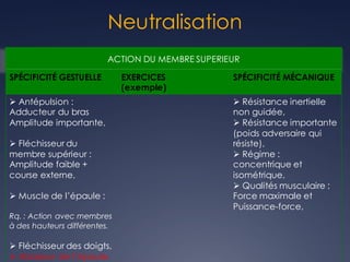 Neutralisation
ACTION DU MEMBRE SUPERIEUR
SPÉCIFICITÉ GESTUELLE EXERCICES
(exemple)
SPÉCIFICITÉ MÉCANIQUE
Ø Antépulsion :
Adducteur du bras
Amplitude importante,
Ø Fléchisseur du
membre supérieur :
Amplitude faible +
course externe,
Ø Muscle de l’épaule :
Rq. : Action avec membres
à des hauteurs différentes.
Ø Fléchisseur des doigts,
Ø Abaiseur de l’épaule.
Ø Résistance inertielle
non guidée,
Ø Résistance importante
(poids adversaire qui
résiste),
Ø Régime :
concentrique et
isométrique,
Ø Qualités musculaire :
Force maximale et
Puissance-force,
 