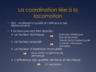 La coordination liée à la
locomotion
Ü Obj. : améliorer la qualité et l’efficience des
déplacements,
Ü 4 facteurs peuvent être abordés :
Ü Le facteur technique
Ü Le facteur propulsif
Ü Le facteur d’explosion musculaire
Ü L’efficience des qualités de force et de vitesse
Gammes athlétiques
(travail de pied)
Travail de la foulée (corde
à sauter, cerceaux,
échelles)
Musculation et gammes de
démarrage
Cf. précédent
 