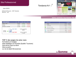www.somme-tourisme.org Site Professionnel Juin 2010 TOP 5 des pages les plus vues Formations à l’anglais Sites labellisés en Picardie (Qualité Tourisme) Hors-série Pays du Nord Gite au jardin La vie du label Clévacances Tendance N-1   Editorial/Visuels : CDT Somme Source : xiti 