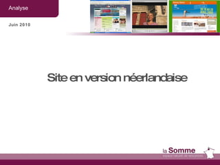 Analyse  Juin 2010 Site en version néerlandaise 